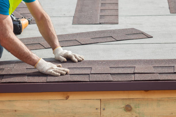 Best Skylight Installation and Repair  in Dickson, TN